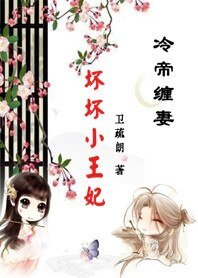 引發五國之亂:壞壞小王妃