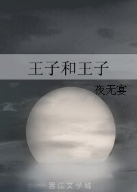 王子和王子